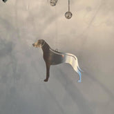 Ophæng med Rhodesian Ridgeback